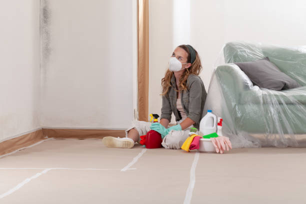 Reliable Mold Testing contractor in Garner, NC by WQB Mold Removal